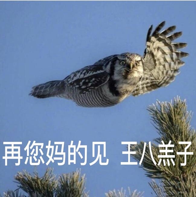 再见先生这首歌