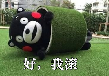 情侣互撩表情包：“你滚” “好，我滚”_熊本熊_滚_撩妹撩汉表情包 - 发表情 fabiaoqing.com